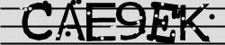 CAPTCHA