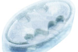 03-Molde-de-Silicona-logo-batman.jpg