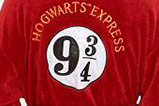 02-Albornoz-Hogwarts-Express-9-3-4.jpg