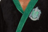 01-Albornoz-Slytherin-Wizard-Harry-Potter.jpg