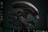 16-Alien-Figura-Movie-Masterpiece-16-Big-Chap-36-cm.jpg