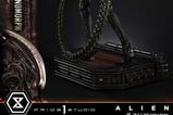 08-Alien-Museum-Masterline-XL-Statue-13-Big-Chap-Xenomorph-Regular-Ver-100-cm.jpg