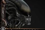 10-Alien-Museum-Masterline-XL-Statue-13-Big-Chap-Xenomorph-Regular-Ver-100-cm.jpg