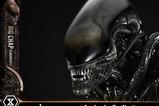 15-Alien-Museum-Masterline-XL-Statue-13-Big-Chap-Xenomorph-Regular-Ver-100-cm.jpg