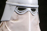 03-ARTFX-Pack-2-Snowtrooper-Star-Wars.jpg