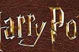 02-Barajas-de-Cartas-Harry-Potter-Collector.jpg