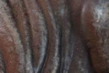 07-Busto-T-Rex-Limited-Edition.jpg
