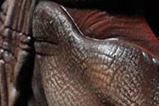 10-Busto-T-Rex-Limited-Edition.jpg