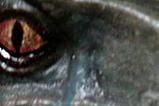05-Busto-velociraptor-blue-Limited-Edition.jpg