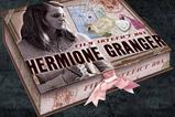 02-Caja-de-recuerdos-de-hermione-Granger.jpg