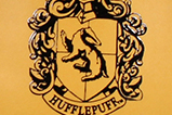 04-Caldero-Escudo-Hufflepuff.jpg