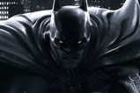 01-Camiseta-Batman-In-The-Dark-With-Bats.jpg
