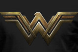 01-Camiseta-logo-Wonder-Woman.jpg