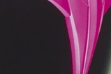 05-Casco-de-Pink-Ranger.jpg