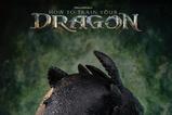 03-Cmo-entrenar-a-tu-dragn-Life-Size-Busto-Toothless-Desdentado-66-cm.jpg