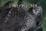 15-Cmo-entrenar-a-tu-dragn-Life-Size-Busto-Toothless-Desdentado-66-cm.jpg