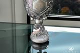 01-copa-d100.jpg