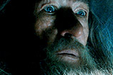 01-Cuadro-The-Hobbit-DoS-Gandalf.jpg