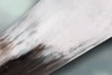 01-Cuerno-Vikingo-Thor.jpg