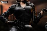 10-dc-comics-diorama-16-batman--catwoman-51-cm.jpg