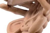 02-Diorama-Q-Fig-Facehugger.jpg