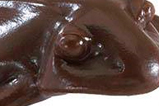 01-Figura-Antiestres-Rana-de-chocolate.jpg