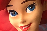 03-Figura-Ariel-30-aniversario.jpg