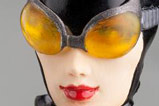 03-figura-ARTFX-catwoman-new52-kotobukiya.jpg