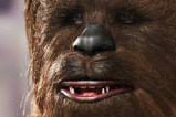 04-Figura-Chewbacca-Movie-Masterpiece-Star-Wars.jpg