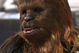 07-Figura-Chewbacca-Movie-Masterpiece-Star-Wars.jpg