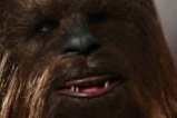 09-Figura-Chewbacca-Movie-Masterpiece-Star-Wars.jpg