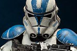 03-Figura-Deluxe-501st-Clone-Trooper-Star-Wars.jpg