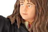 01-Figura-Hermione-year-onejpg.jpg