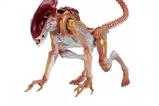 03-Figura-Panther-Alien-Aliens-Kenner-Tribute.jpg