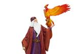 02-Figura-profesor-Dumbledore.jpg