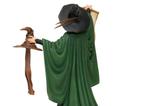 04-Figura-profesora-McGonagall.jpg