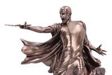 02-Harry-Potter-Busto-Voldemort-Avada-Kedavra-32-cm.jpg