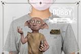 07-Harry-Potter-Estatua-Master-Craft-Dobby-39-cm.jpg