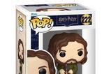 01-Harry-Potter-POP-Movies-Vinyl-Figura-Sirius-Black-9-cm.jpg