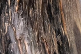 01-jarra-vikinga.jpg