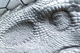 06-Jurassic-World-Indominus-Kit.jpg