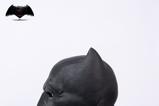10-Justice-League-Batman-v-Superman-Dawn-of-Justice-Rplica-11-Batman-Cowl-51-.jpg