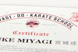 00-Karate-Kid-Miyagi-Do-Karate-School-Kit.jpg