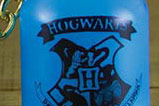 01-Llavero-Potion-Bottle-Hogwarts-Crest.jpg