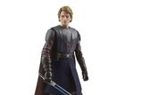 10-Pack-The-Journey-of-Anakin-Skywalker-Star-Wars-Vintage-Collection.jpg
