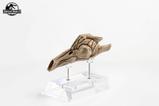 02-parque-jursico-iii-rplica-prop-11-velociraptor-resonance-chamber-18-cm.jpg