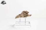 06-Parque-Jursico-III-Rplica-Prop-11-Velociraptor-Resonance-Chamber-18-cm.jpg
