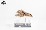 07-Parque-Jursico-III-Rplica-Prop-11-Velociraptor-Resonance-Chamber-18-cm.jpg