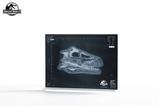 08-Parque-Jursico-III-Rplica-Prop-11-Velociraptor-Resonance-Chamber-18-cm.jpg