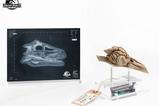 11-Parque-Jursico-III-Rplica-Prop-11-Velociraptor-Resonance-Chamber-18-cm.jpg